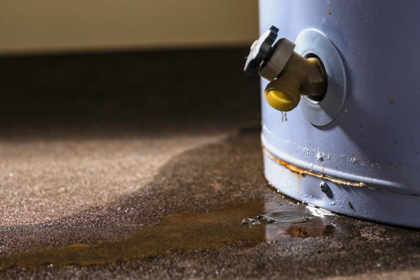 Best Water damage cleanup near me  in New Haven, MO