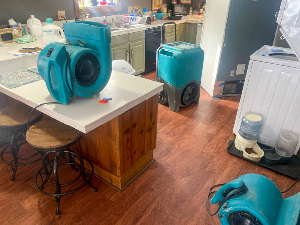 Trusted New Haven, MO Water damage restoration Experts