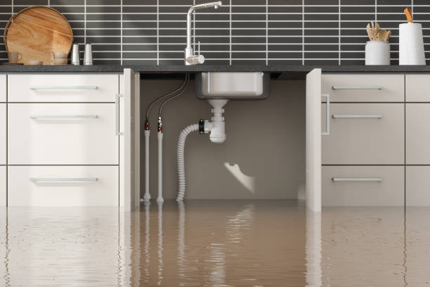 Best Water damage restoration near me  in New Haven, MO