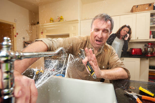 Best Water damage restoration experts  in New Haven, MO